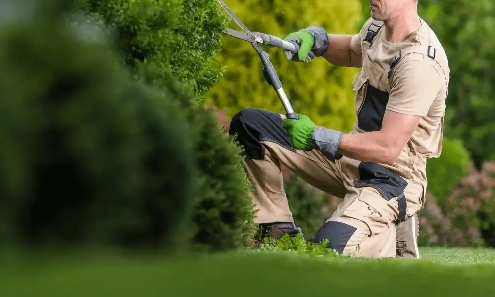 élagueur professionnel travaillant sur un arbre